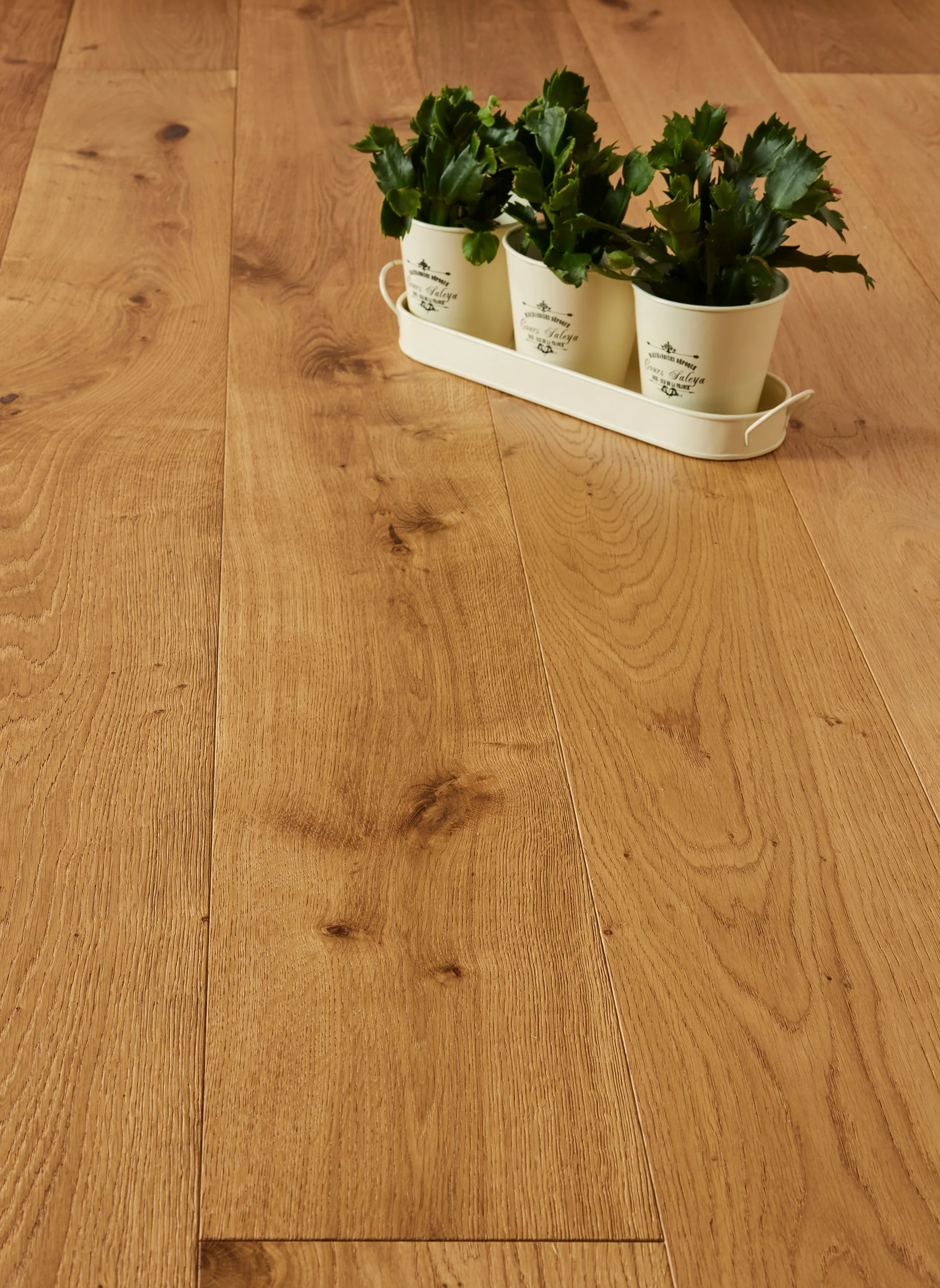 French Oak Rustic Brushed Oiled Plank - Image 3