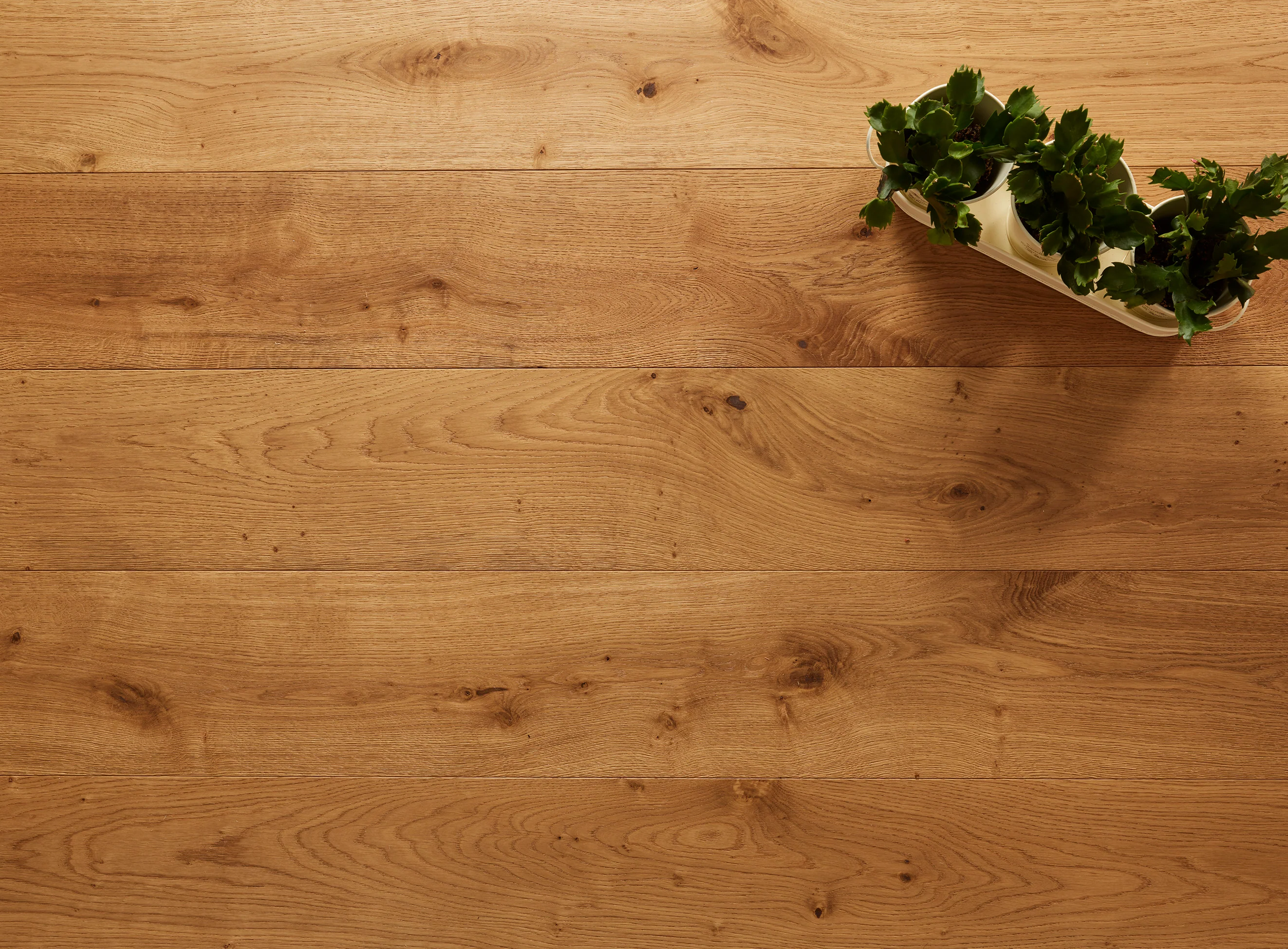 French Oak Rustic Brushed Oiled Plank - Image 5