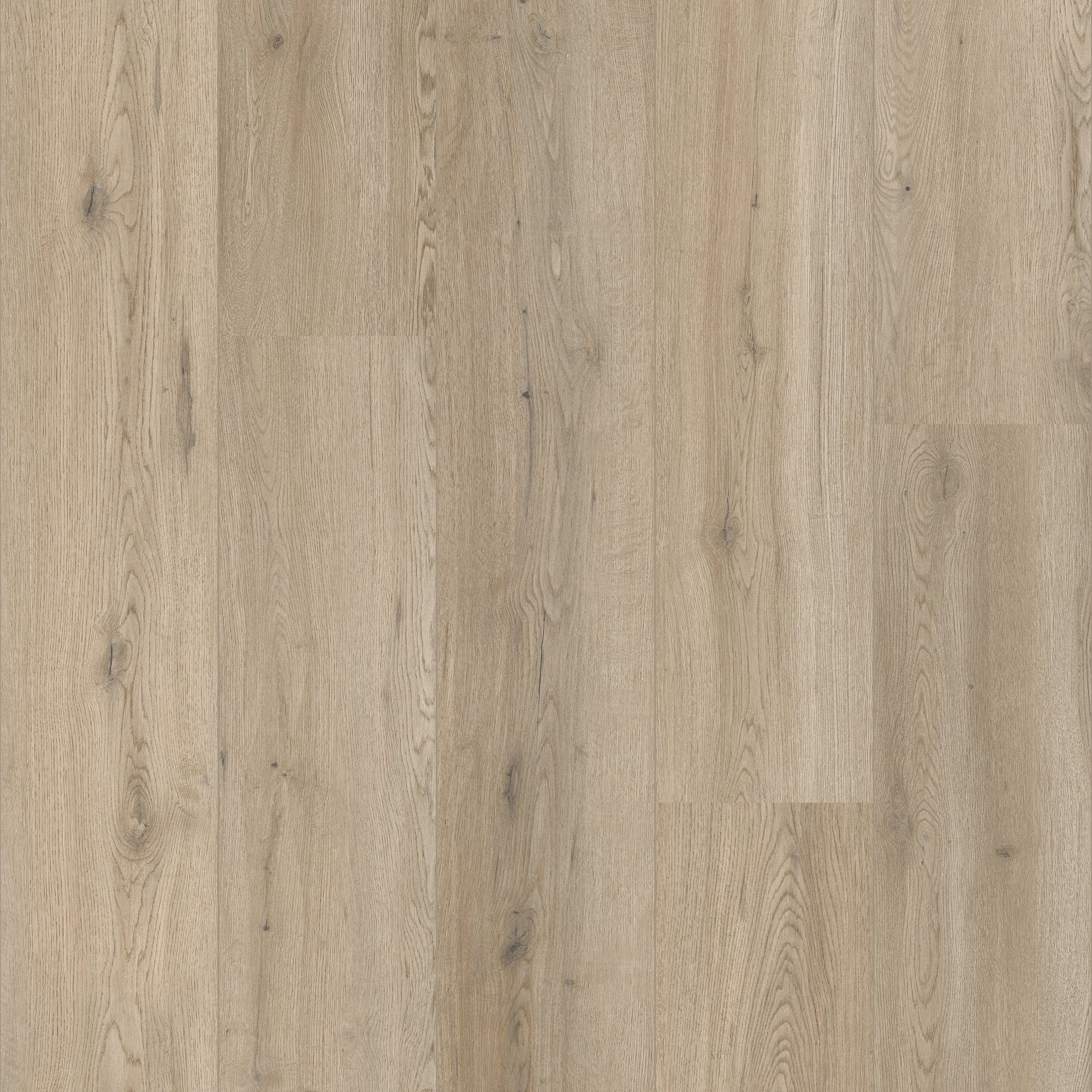 COREtec | Essentials 1500+ Series Cleveland Oak 52 - Image 3