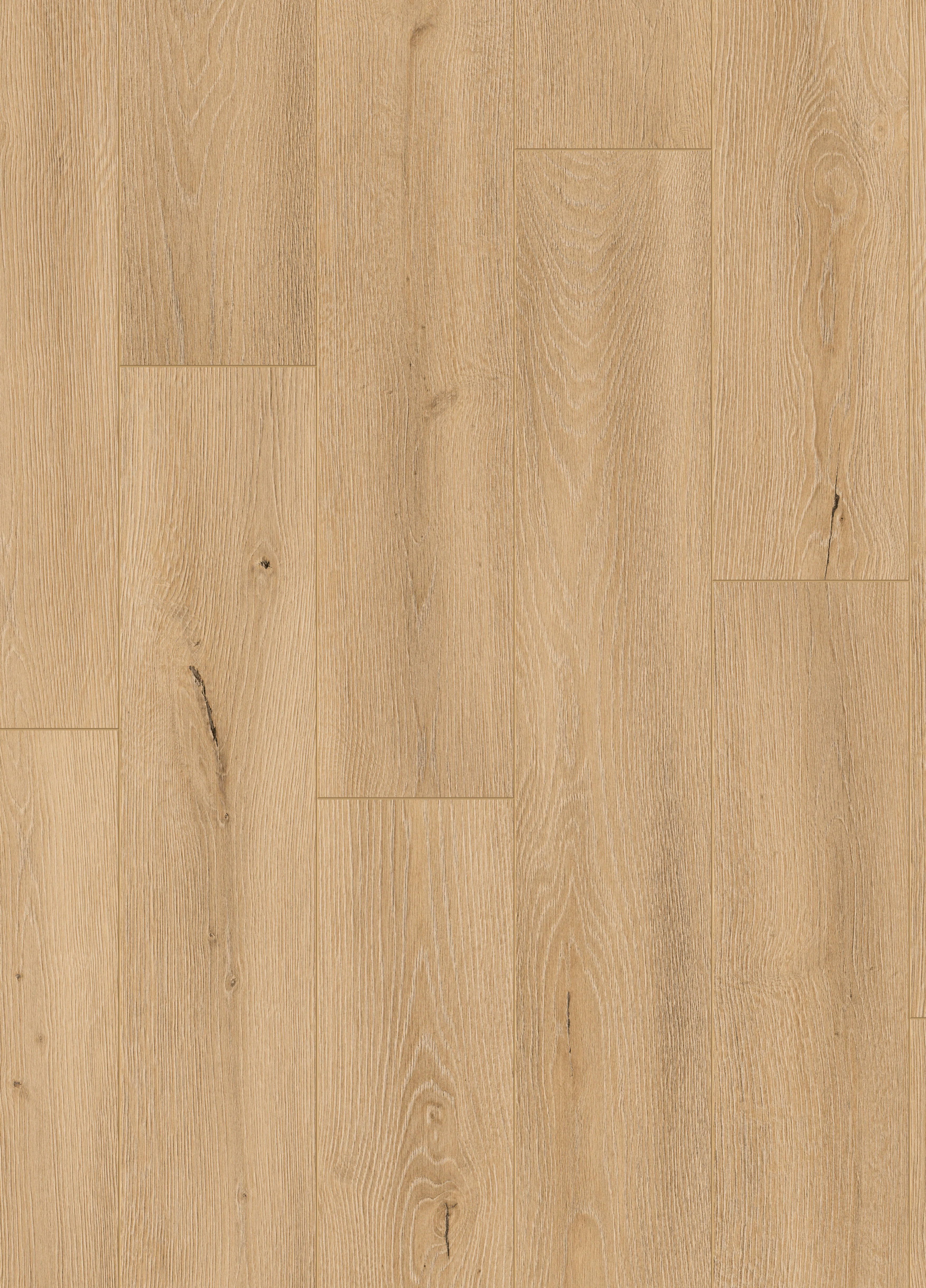 Guild Oak 12mm Aqua Protect Laminate - Image 2