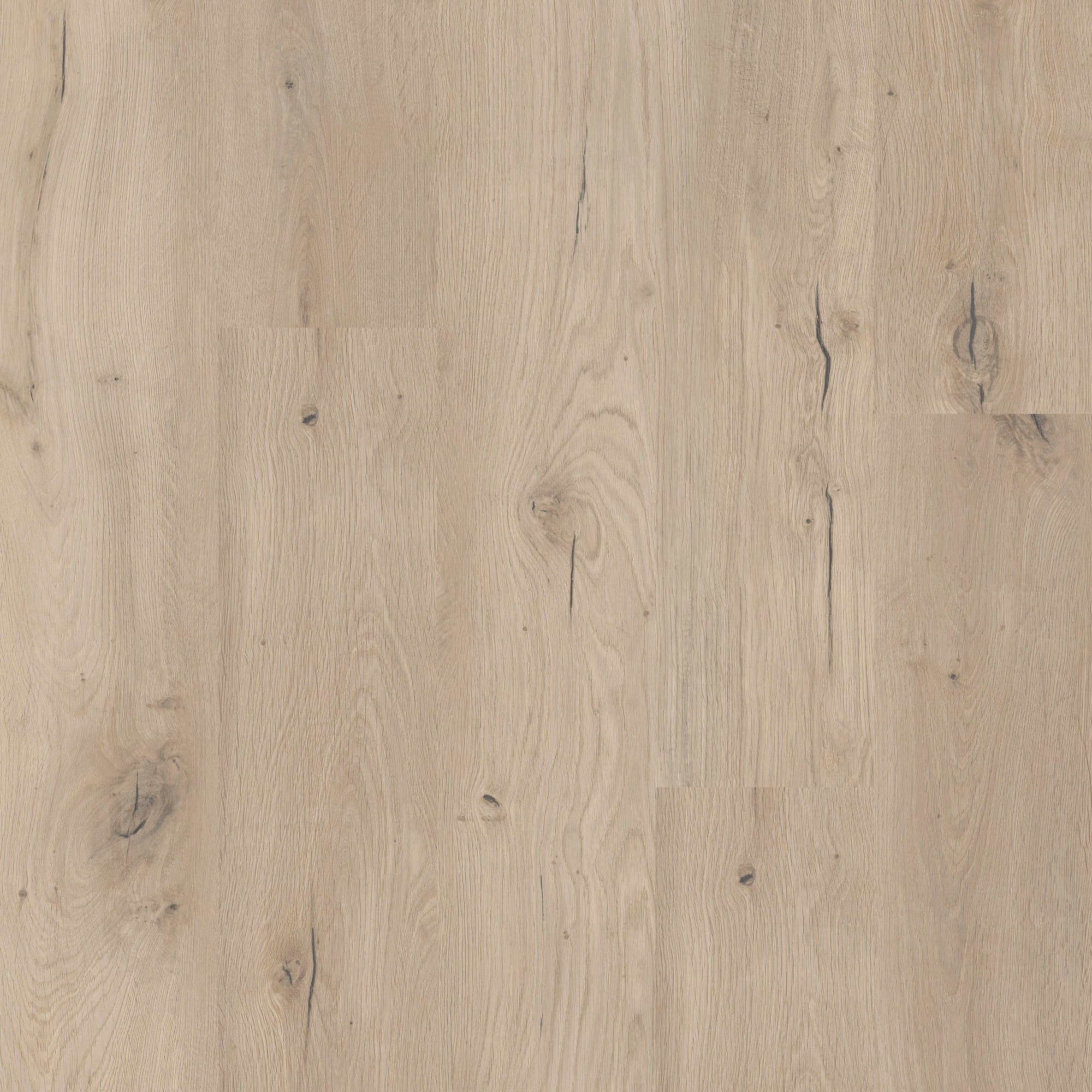 COREtec | Naturals 1200 Series Forest - Image 3