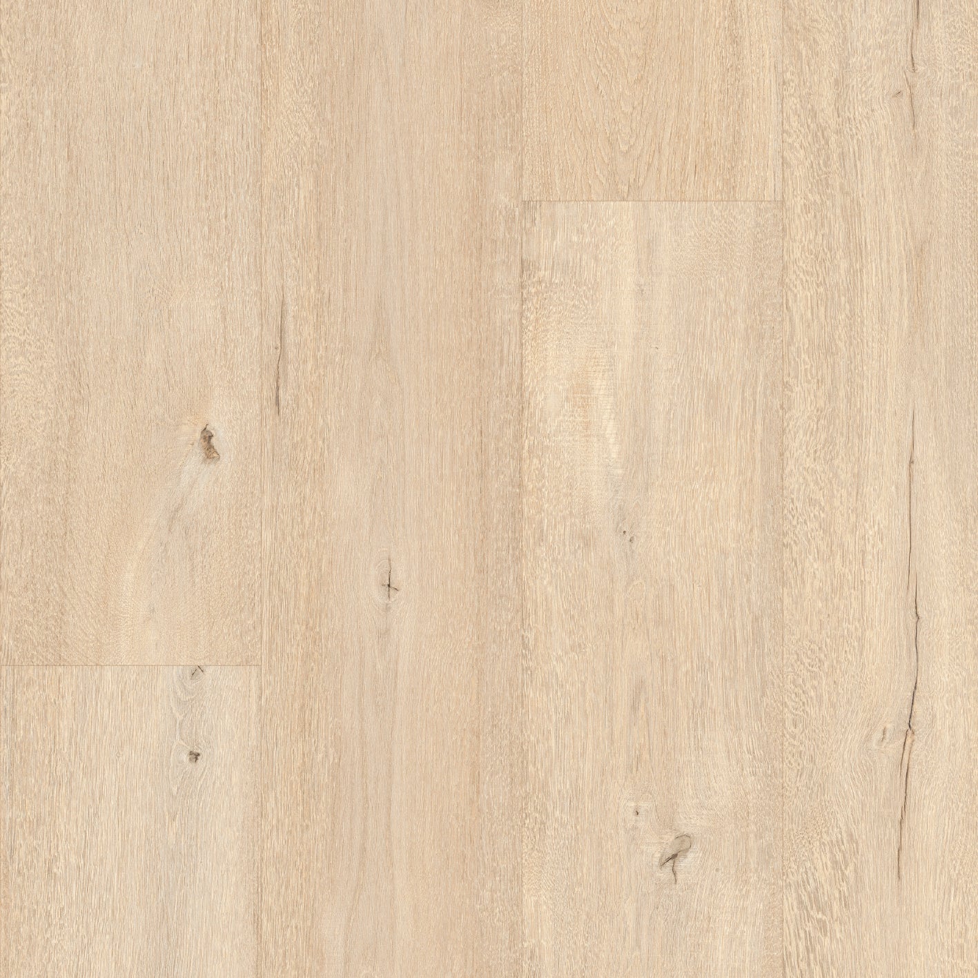 Floorify Parmesan XL Plank - Image 4