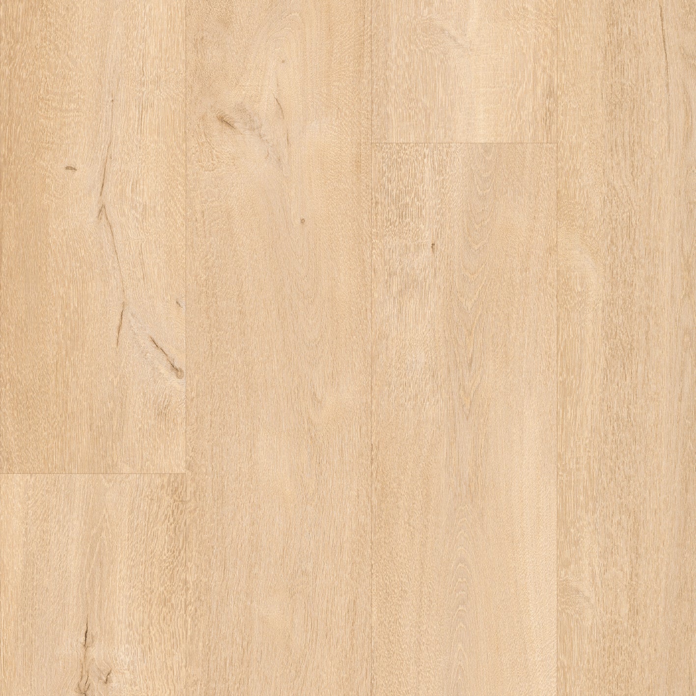 Floorify Petit Beurre XL Plank - Image 4