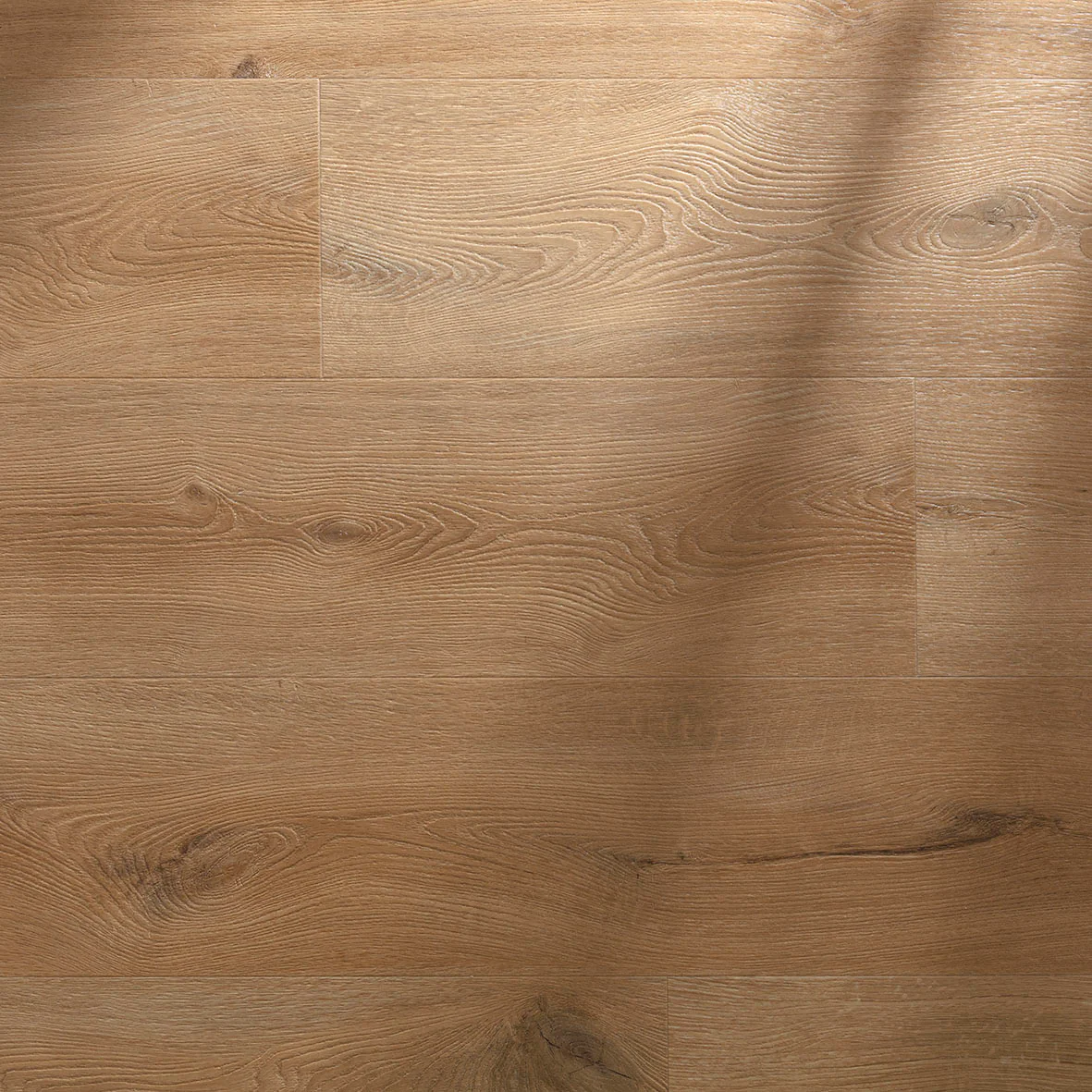 Floorify Teddy Bear XL Plank - Image 3