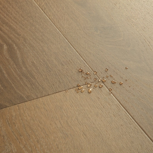 Quickstep | Bloom Elegant Oak Fumed - Image 3