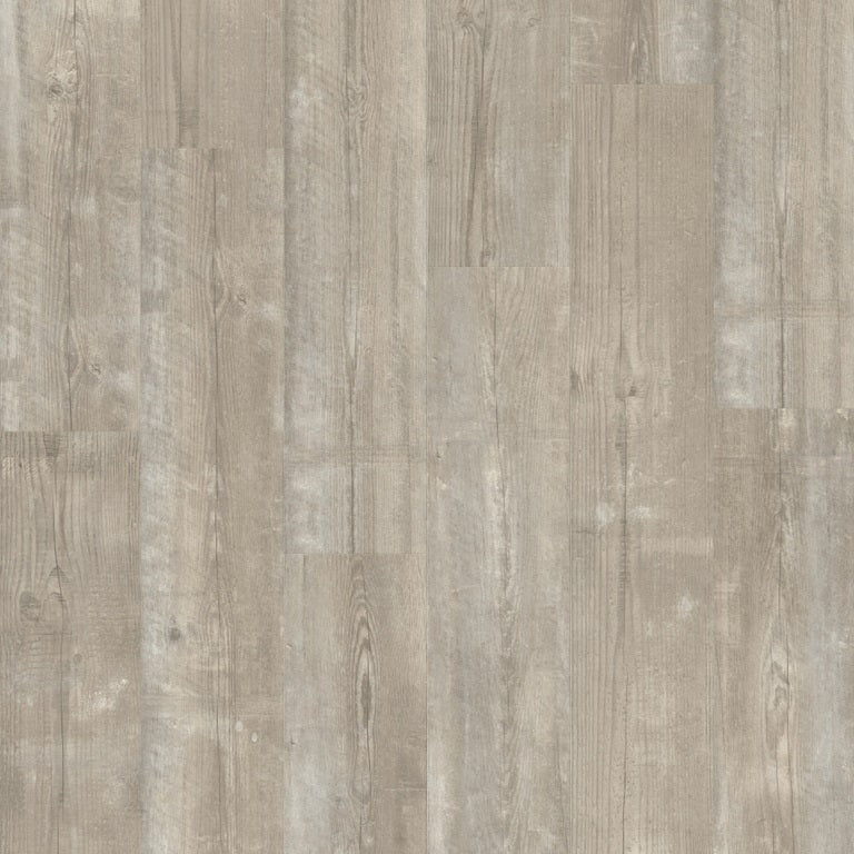 Quickstep | Bloom Morning Mist Pine - Image 2