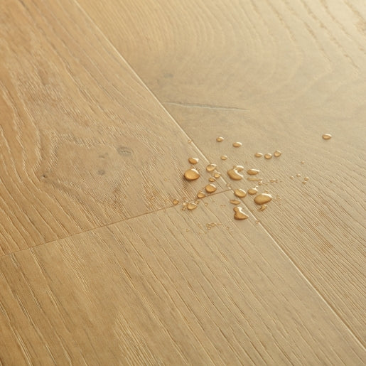 Quickstep | Blos Coast Oak Honey - Image 2