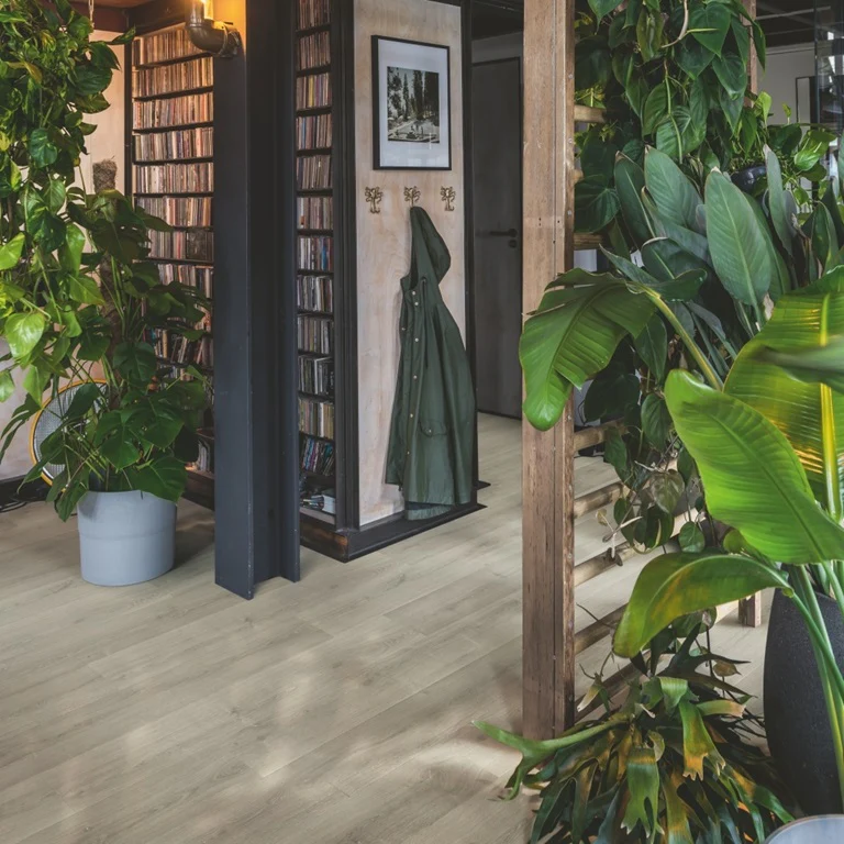 Quickstep | Capture Brushed Oak Grey - Image 4