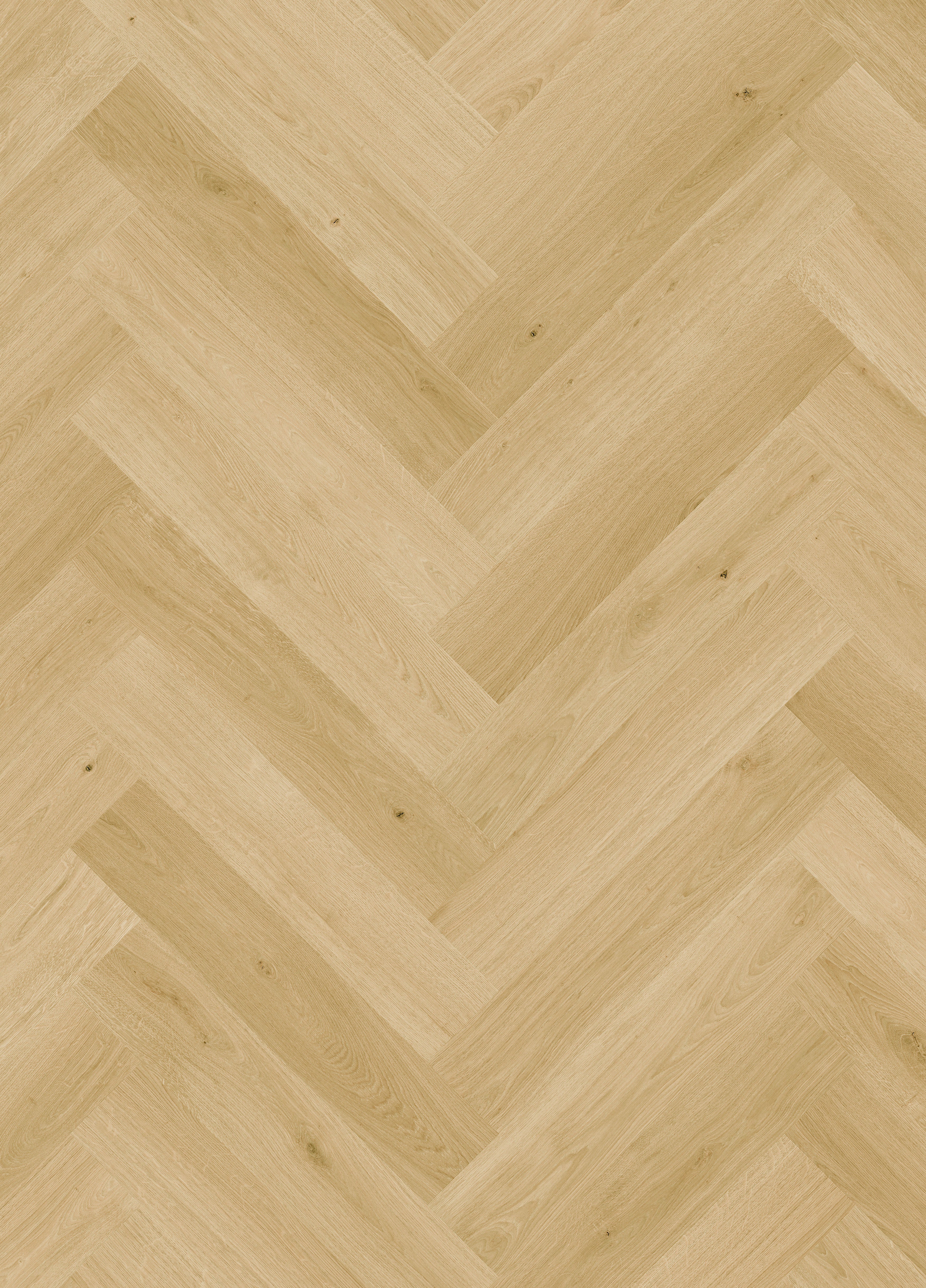 Quickstep | Impressive Design 8mm Laminate Herringbone Cardamom Oak - Image 7