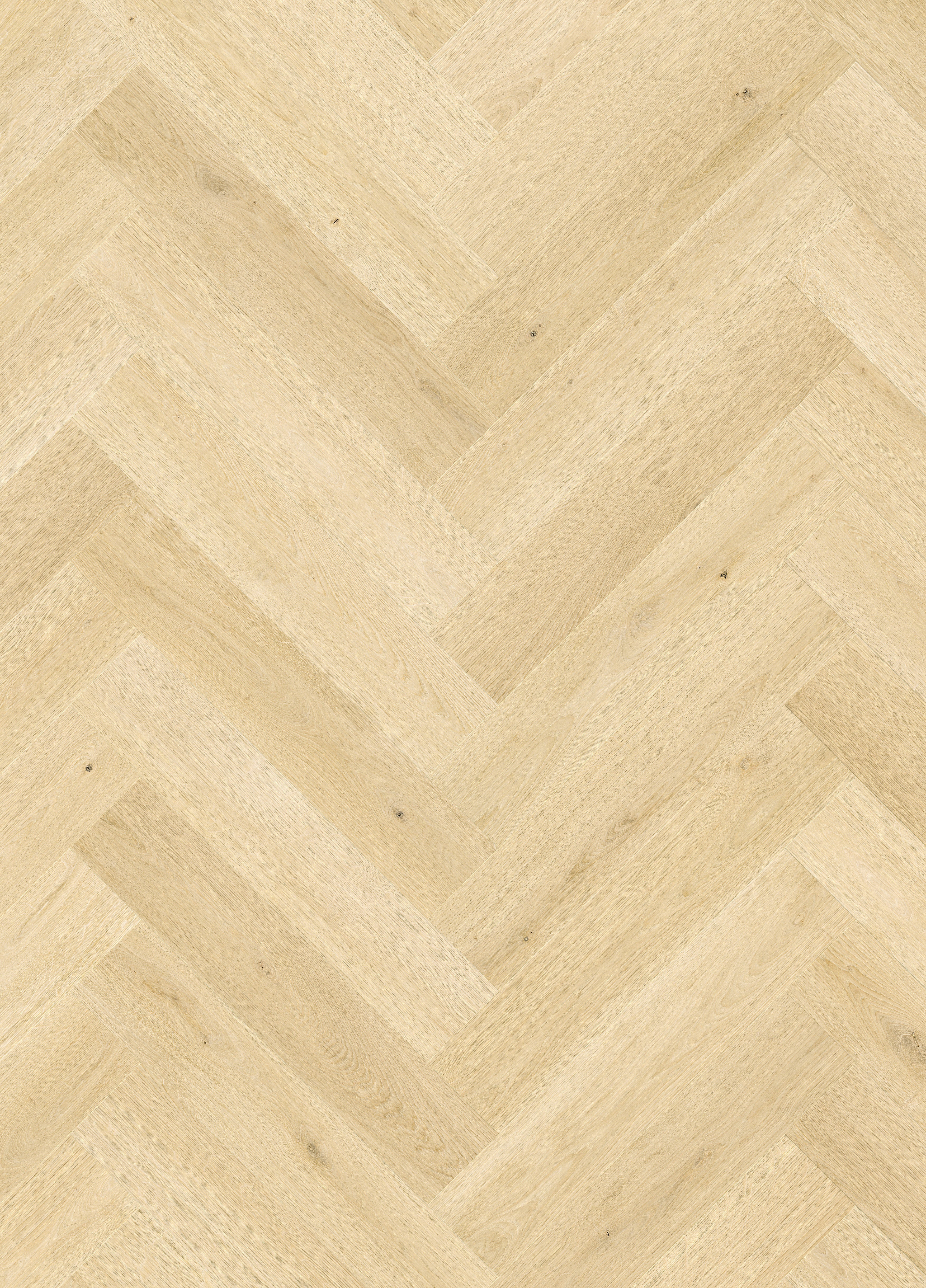 Quickstep | Impressive Design 8mm Laminate Herringbone Ginger Oak - Image 4
