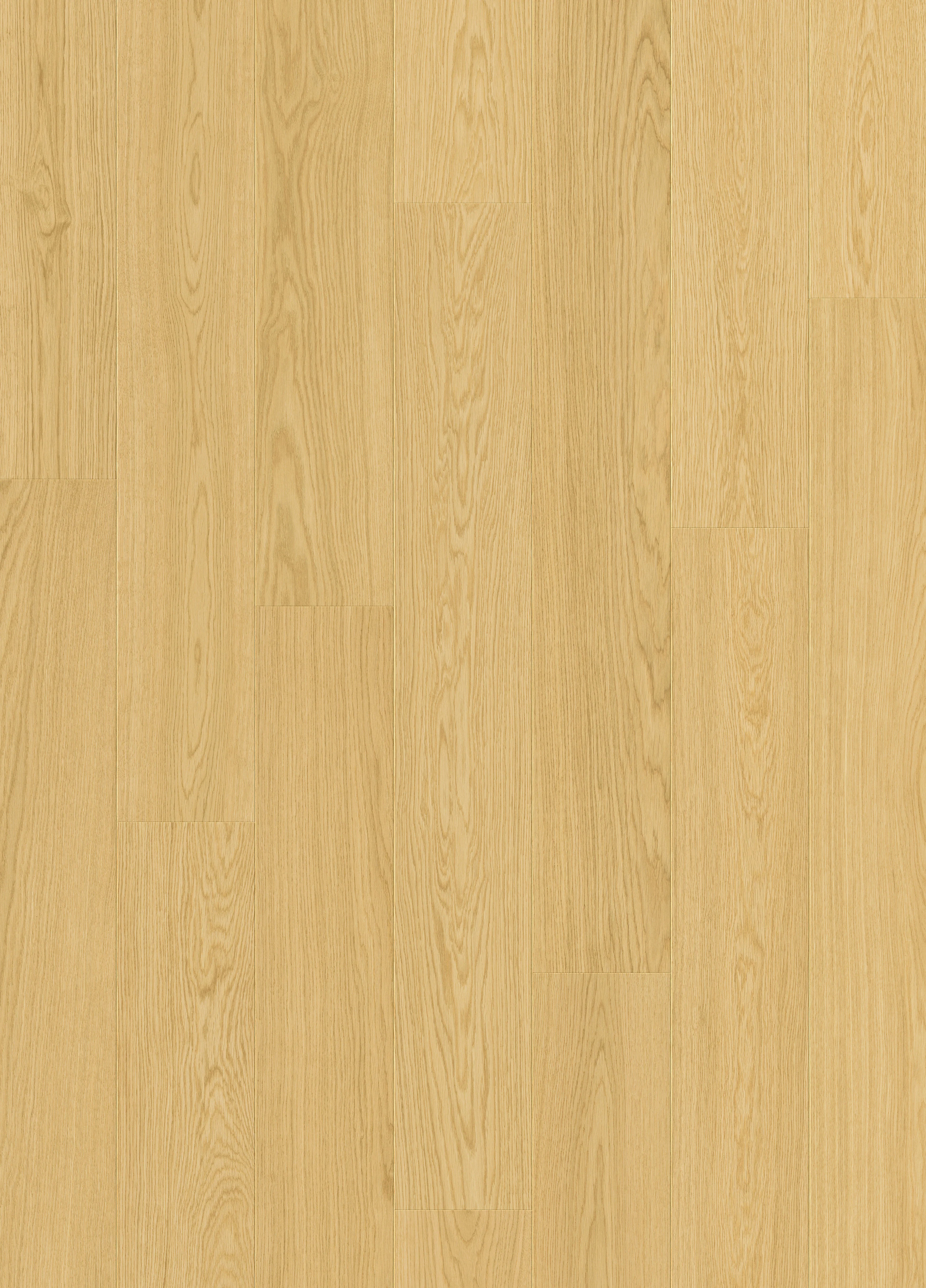 Quickstep | Impressive Dune Oak - Image 4