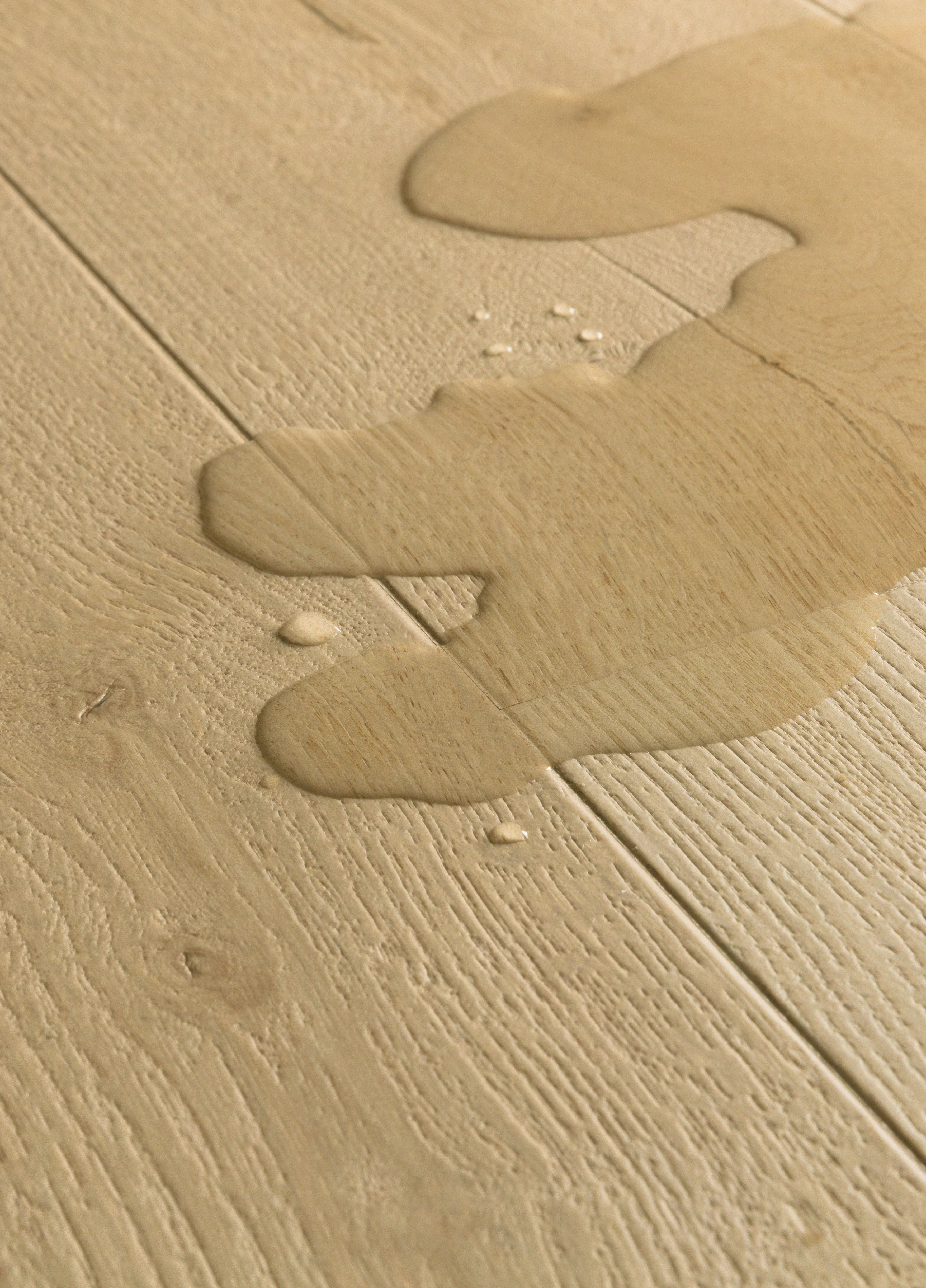 Quickstep | Impressive Cotton Oak - Image 2