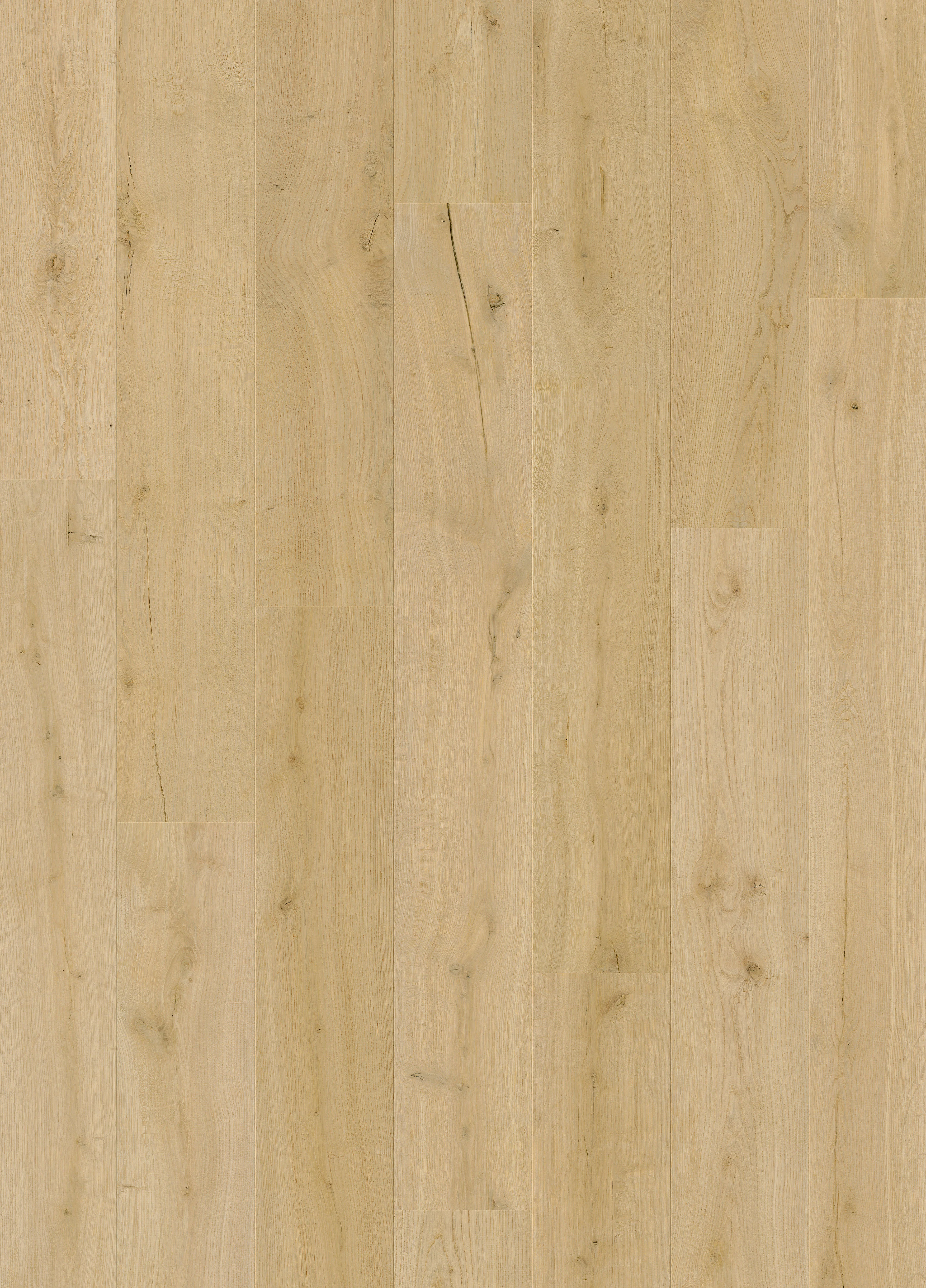 Quickstep | Impressive Cotton Oak - Image 4