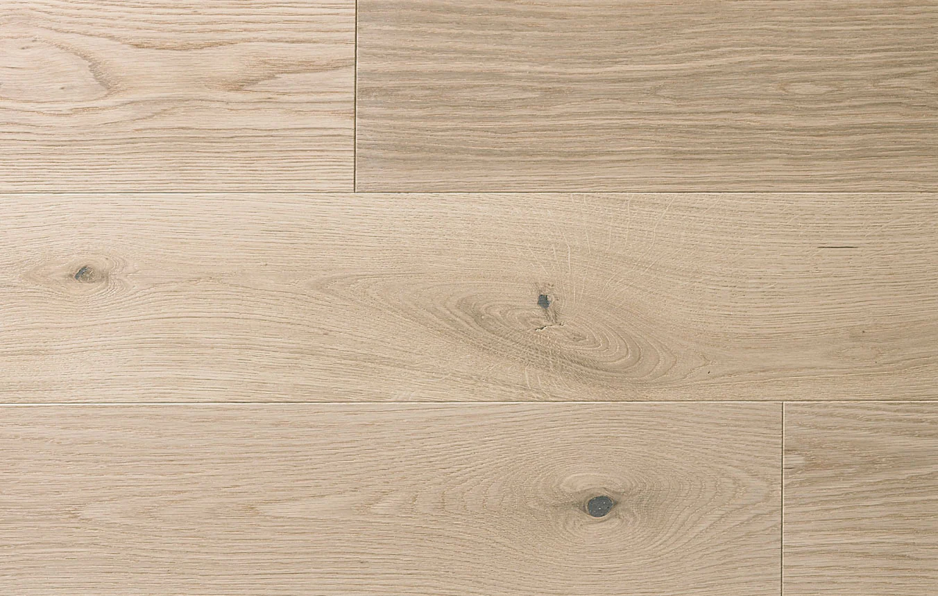 Ted Todd | Create Paperback Plank