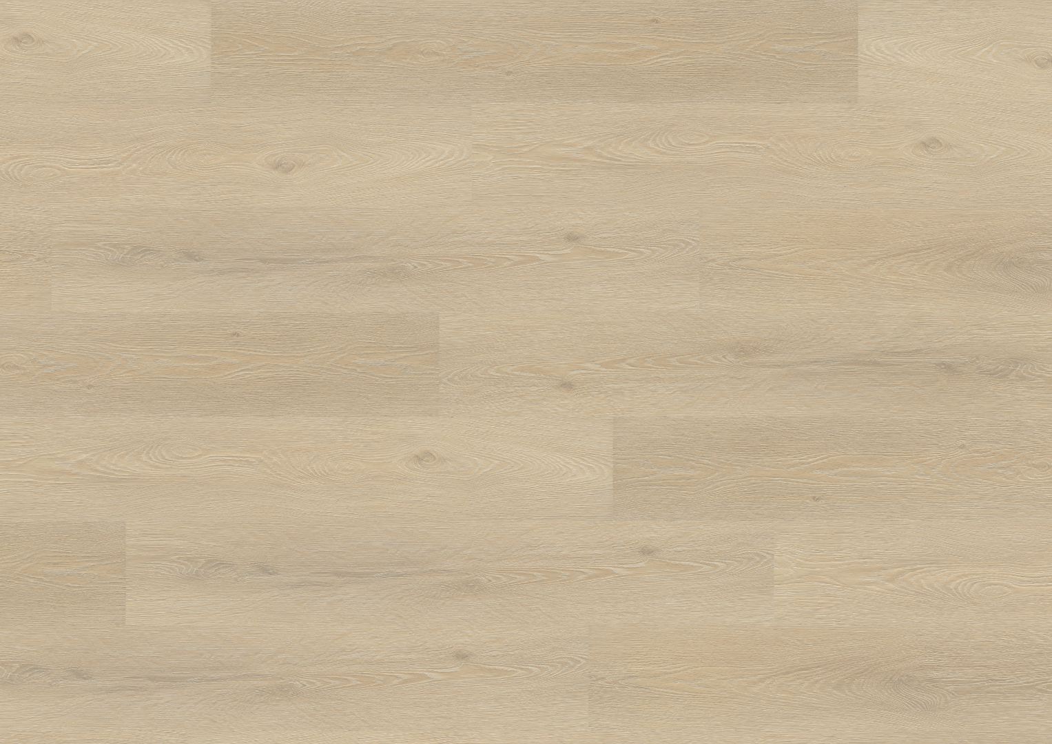 Premium 12mm Laminate Denver Oak - Image 3