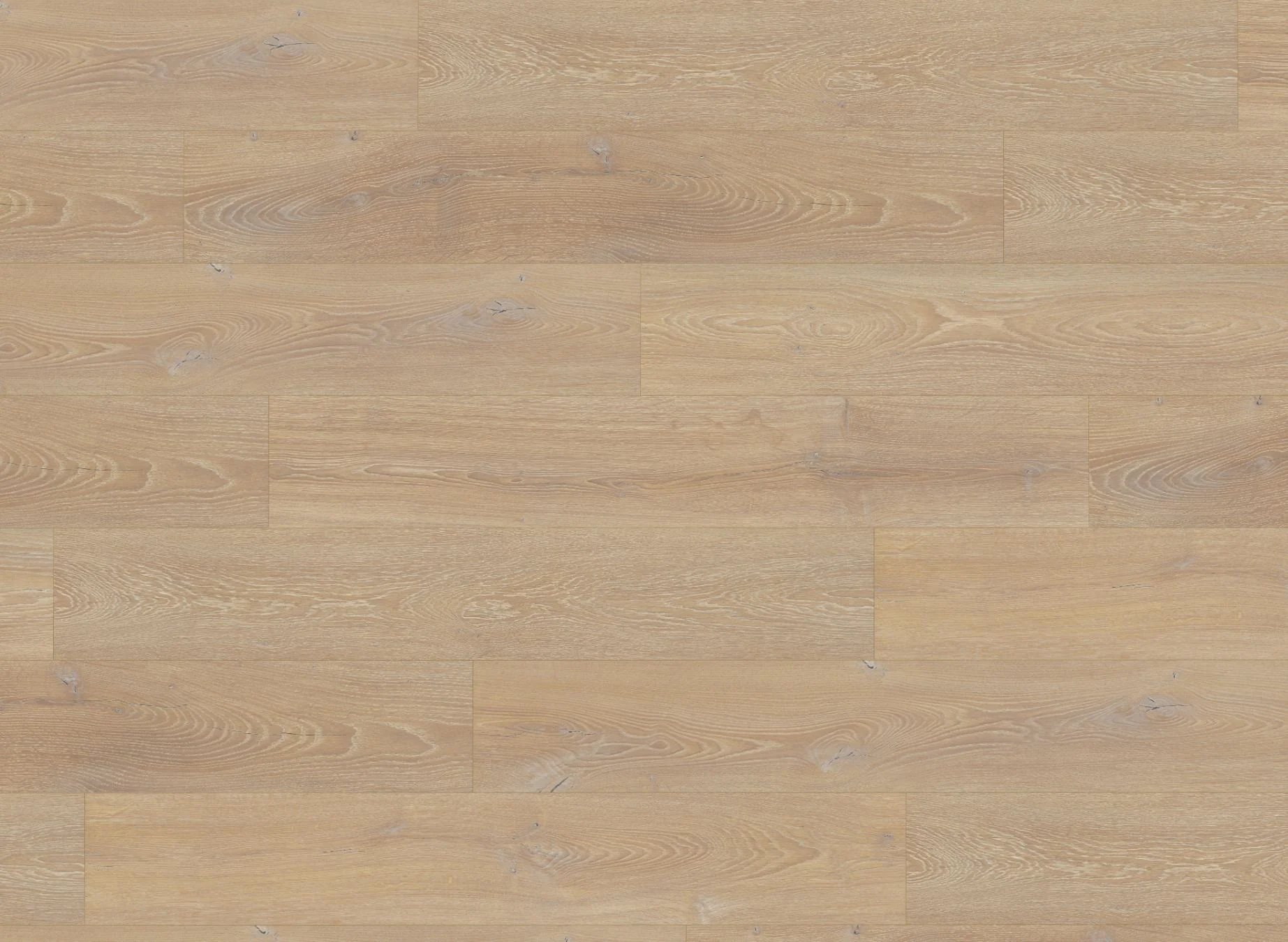 Premium 12mm Laminate Desert Oak