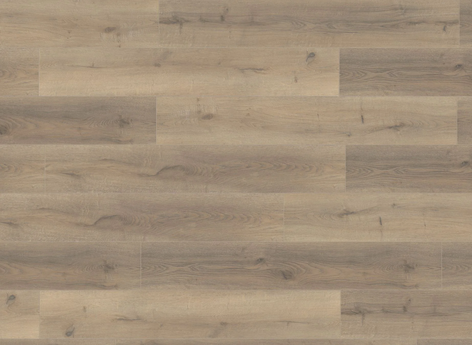 Premium 12mm Laminate Greige Oak